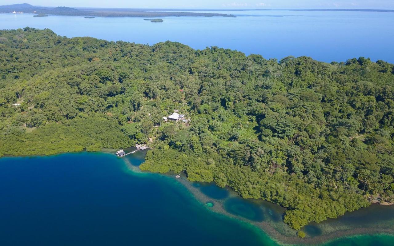 Finca Vela Lodge Bocas del Toro Exteriör bild