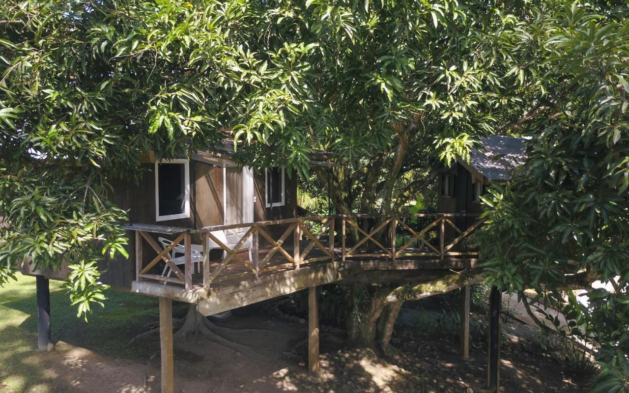 Finca Vela Lodge Bocas del Toro Exteriör bild