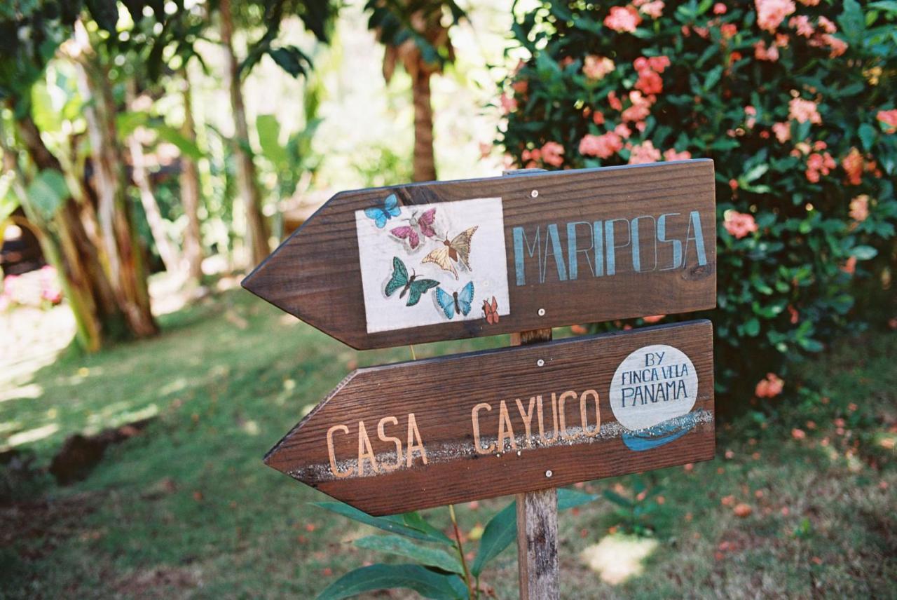 Finca Vela Lodge Bocas del Toro Exteriör bild