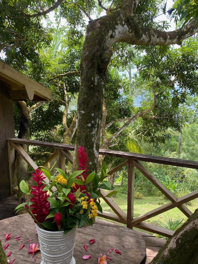 Finca Vela Lodge Bocas del Toro Exteriör bild