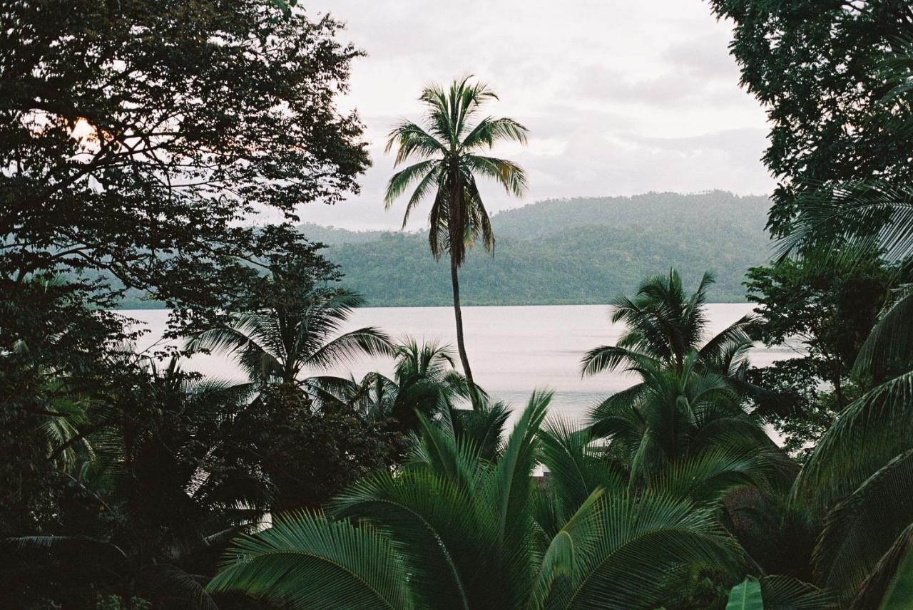 Finca Vela Lodge Bocas del Toro Exteriör bild