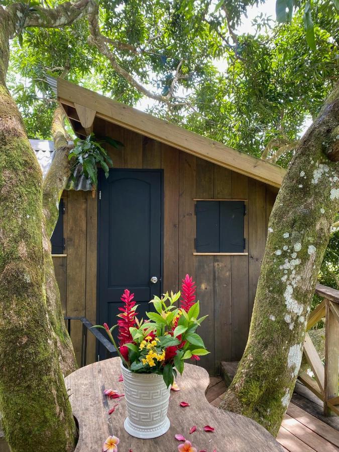 Finca Vela Lodge Bocas del Toro Exteriör bild
