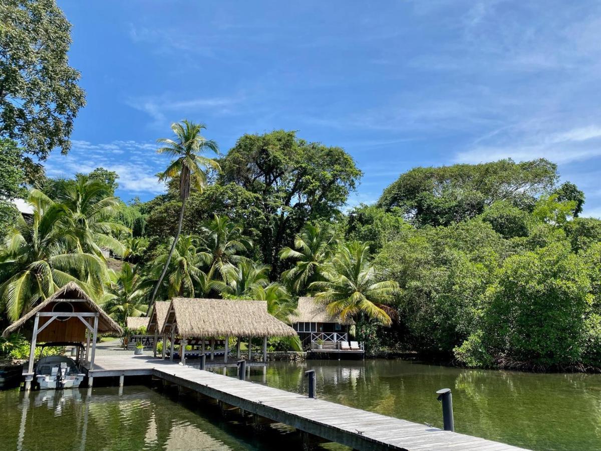 Finca Vela Lodge Bocas del Toro Exteriör bild